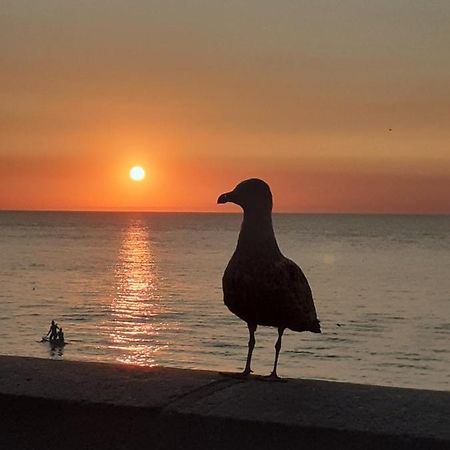 Camping Les Falaises De Toussaint Zewnętrze zdjęcie