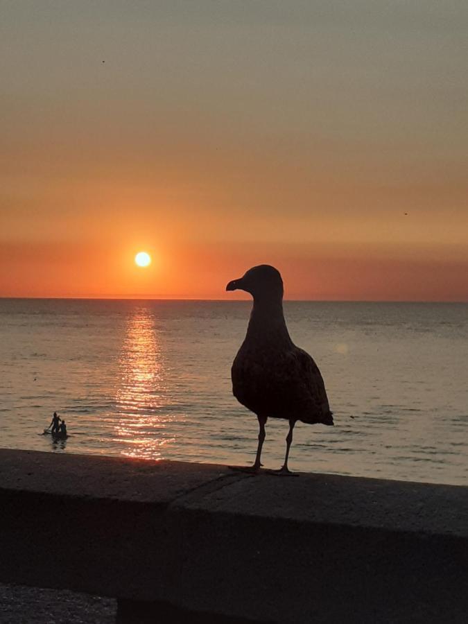 Camping Les Falaises De Toussaint Zewnętrze zdjęcie