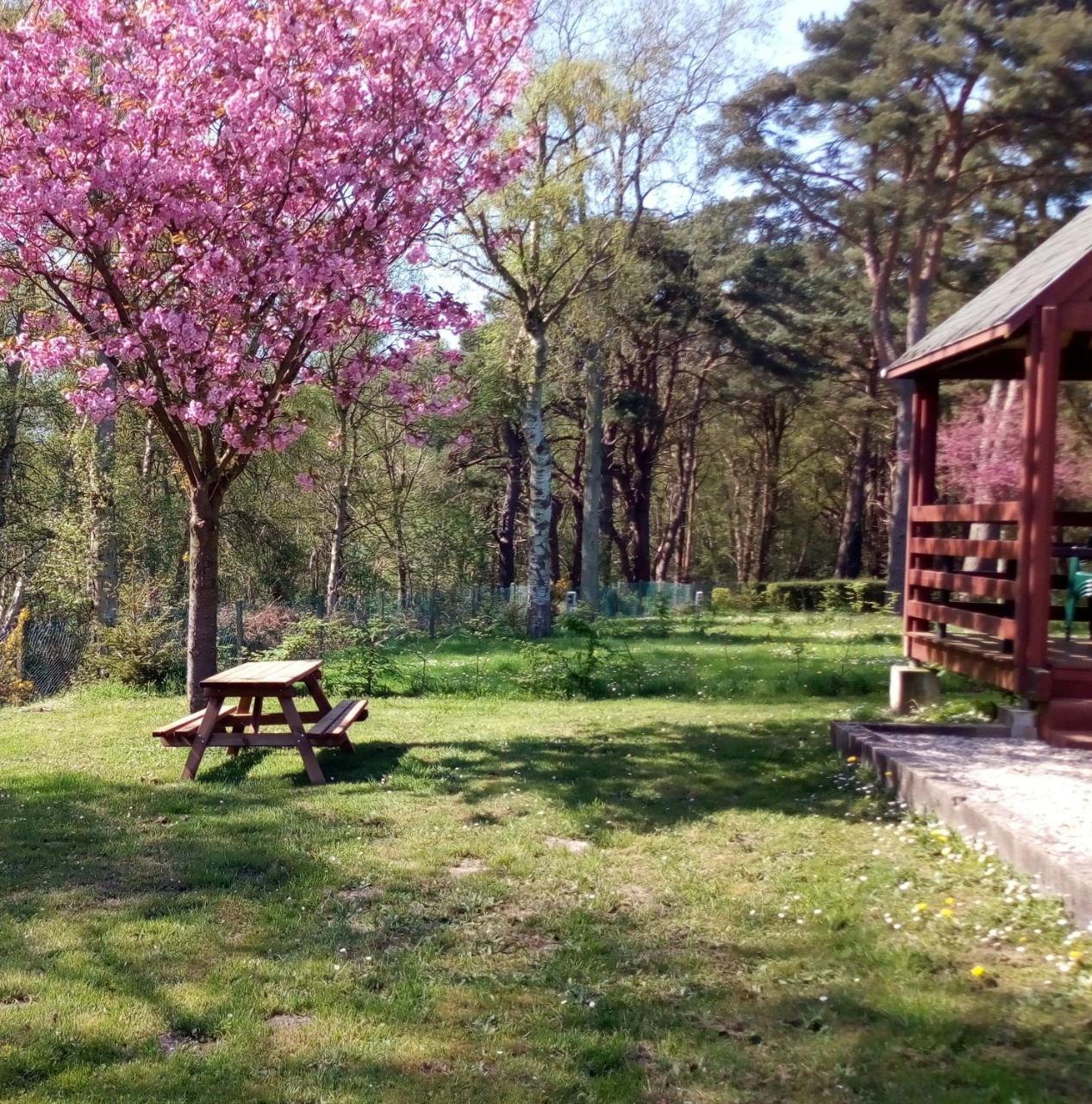 Camping Les Falaises De Toussaint Zewnętrze zdjęcie